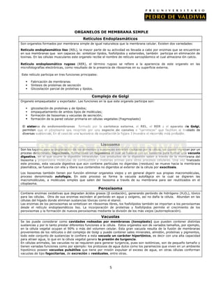 ORGANELOS DE MEMBRANA SIMPLE
Retículos Endoplasmáticos
Son organelos formados por membrana simple de igual naturaleza que la membrana celular. Existen dos variedades:


Retículo endoplasmático liso (REL), la mayor parte de su actividad es llevada a cabo por enzimas que se encuentran
en sus membranas que son capaces de: sintetizar lípidos, fosfolípidos y esteroides, también participa en eliminación de
toxinas. En las células musculares este organelo recibe el nombre de retículo sarcoplásmico el cual almacena ión calcio.
Retículo endoplasmático rugoso (RER), el término rugoso se refiere a la apariencia de este organelo en las
microfotografías electrónicas, como resultado de la presencia de ribosomas en su superficie externa.
Este retículo participa en tres funciones principales:




Fabricación de membranas
Síntesis de proteínas de secreción
Glicosilación parcial de proteínas y lípidos.

Complejo de Golgi
Organelo empaquetador y exportador. Las funciones en la que este organelo participa son:






glicosilación de proteínas y de lípidos;
empaquetamiento de ambos tipos de moléculas;
formación de lisosomas y vacuolas de secreción;
formación de la pared celular primaria en células vegetales (fragmoplasto)

El sistema de endomembranas formado por la carioteca externa, el REL, el RER y el aparato de Golgi,
permiten que el citoplasma sea recorrido por una especie de canales o “carreteras” que facilitan el traslado de
diversas sustancias. En el caso de una sustancia de exportación la figura 3 muestra el recorrido más probable.

Lisosoma
Son los lugares para la degradación de los alimentos y sustancias extrañas captadas por la célula, las cuales ingresan por un
proceso denominado fagocitosis, formándose un fagosoma el cual se fusiona con un lisosoma para formar una vacuola
digestiva, en el que ocurre la digestión intracelular. Los productos de la digestión salen a través de la membrana del
lisosoma y proporciona moléculas de combustible y materias primas para otros procesos celulares. Una vez finalizado
este proceso, esta vacuola digestiva que aún contiene partículas no digeridas (residuos) se mueve hacia la membrana
plasmática, se fusiona con ella y libera sus contenidos no digeridos al exterior de la célula por exocitosis.
Los lisosomas también tienen por función eliminar organelos viejos y en general digerir sus propias macromoléculas,
proceso denominado autofagia. En este proceso se forma la vacuola autofágica en la cual se digieren las
macromoléculas, a moléculas simples que salen del lisosoma a través de su membrana para ser reutilizados en el
citoplasma.

Peroxisoma
Contiene enzimas oxidativas que degradan ácidos grasos (β oxidación), generando peróxido de hidrógeno (H2O2), tóxico
para las células. Otra de sus enzimas escinden al peróxido en agua y oxígeno, así no daña la célula. Abundan en las
células del hígado donde eliminan sustancias tóxicas como el etanol.
Las enzimas de los peroxisomas se sintetizan en ribosomas libres, los fosfolípidos también se importan a los peroxisomas
desde el retículo endoplasmáticos liso. La incorporación de proteínas y fosfolípidos permite el crecimiento de los
peroxisomas y la formación de nuevos peroxisomas mediante la división de los más viejos (autorreplicación).

Vacuolas
Se las puede considerar como cavidades rodeadas por membranas (tonoplasto) que pueden contener distintas
sustancias y por lo tanto prestar diferentes funciones a la célula. Estos organelos son de variados tamaños, por ejemplo,
en la célula vegetal ocupan el 90% o más del volumen celular. Esta gran vacuola resulta de la fusión de membranas
provenientes de los retículos o del complejo de Golgi y puede contener sales minerales, almidón, proteínas y pigmentos,
todo este conjunto de sustancias le confiere a esta vacuola un carácter hipertónico, es decir con una alta capacidad
para atraer agua, lo que en la célula vegetal genera la presión de turgencia.
En células animales, las vacuolas no se requieren para generar turgencia, pues son isotónicas, son de pequeño tamaño y
tienen variadas funciones como por ejemplo: los protozoos de agua dulce como los paramecios que viven en un ambiente
hipotónico poseen vacuolas pulsátiles que tiene por misión expulsar el exceso de agua, en otras células conforman
vacuolas de tipo fagocitarias, de excreción o residuales, entre otras.

5

 