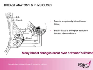 BREAST ANATOMY & PHYSIOLOGY <ul><li>Breasts are primarily fat and breast tissue </li></ul><ul><li>Breast tissue is a compl...