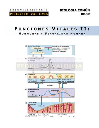 BIOLOGIA COMÚN
BC-12

FUNCIONES VITALES II:
HORMONAS Y SEXUALIDAD HUMANA

 