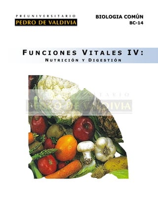 BIOLOGIA COMÚN
BC-14

FUNCIONES VITALES IV:
NUTRICIÓN Y DIGESTIÓN

 