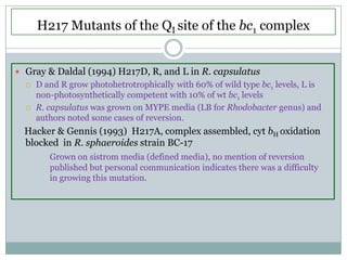 H217 Mutants of the QI site of the bc1 complexGray & Daldal (1994) H217D, R, and L in R. capsulatusD and R grow photohetrotrophically with 60% of wild type bc1 levels, L is non-photosynthetically competent with 10% of wt bc1 levelsR. capsulatus was grown on MYPE media (LB for Rhodobacter genus) and authors noted some cases of reversion.                                                         Hacker & Gennis (1993)  H217A, complex assembled, cyt bHoxidation blocked  in R. sphaeroides strain BC-17Grown on sistrom media (defined media), no mention of reversion 	published but personal communication indicates there was a difficulty 	in growing this mutation.
