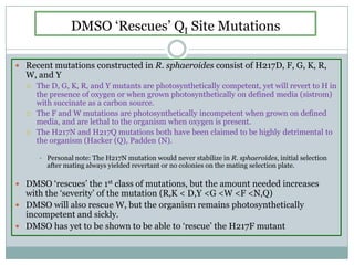 DMSO ‘Rescues’ QI Site MutationsRecent mutations constructed in R. sphaeroides consist of H217D, F, G, K, R, W, and YThe D, G, K, R, and Y mutants are photosynthetically competent, yet will revert to H in the presence of oxygen or when grown photosynthetically on defined media (sistrom) with succinate as a carbon source.The F and W mutations are photosynthetically incompetent when grown on defined media, and are lethal to the organism when oxygen is present.The H217N and H217Q mutations both have been claimed to be highly detrimental to the organism (Hacker (Q), Padden (N). Personal note: The H217N mutation would never stabilize in R. sphaeroides, initial selection after mating always yielded revertant or no colonies on the mating selection plate.DMSO ‘rescues’ the 1st class of mutations, but the amount needed increases with the ‘severity’ of the mutation (R,K < D,Y <G <W <F <N,Q)DMSO will also rescue W, but the organism remains photosynthetically incompetent and sickly.DMSO has yet to be shown to be able to ‘rescue’ the H217F mutant
