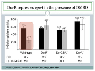 DorR represses cycA in the presence of DMSOTavano C., Comolli J., Donohue T., Microbio., 2004, 150 (6), 1893 - 1899 .