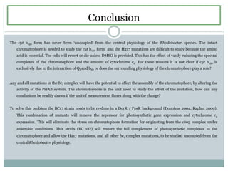 ConclusionThe cyt b150 form has never been ‘uncoupled’ from the central physiology of the Rhodobacter species. The intact chromatophore is needed to study the cyt b150 form  and the H217 mutations are difficult to study becausethe amino acid is essential. The cells will revert or die unless DMSO is provided. This has the effect of vastly reducing the spectral complexes of the chromatophore and the amount of cytochrome c2. For these reasons it is not clear if cyt b150 is exclusively due to the interaction of QIand bH, or does the surrounding physiology of the chromatophore play a role?Any and all mutations in the bc1 complex will have the potential to affect the assembly of the chromatophore, by altering the activity of the PrrAB system. The chromatophore is the unit used to study the affect of the mutation, how can any conclusions be readily drawn if the unit of measurement fluxes along with the change? To solve this problem the BC17 strain needs to be re-done in a DorR- / PpsR- background (Donohue 2004, Kaplan 2009). This combination of mutants will remove the repressor for photosynthetic gene expression and cytochrome c2 expression. This will eliminatethe stress on chromatophore formation for originating from the cbb3 complex under anaerobic conditions. This strain (BC 18?) will restore the full complement of photosynthetic complexes to the chromatophore and allow the H217 mutations, and all other bc1 complex mutations, to be studied uncoupled from the central Rhodobacterphysiology. 