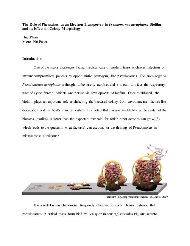microbiology research paper topics Recently published articles from research in microbiology enter your login details below if you do not already have an account you will need to register here. microbiology research paper topics Recently published articles from research in microbiology enter your login details below if you do not already have an account you will need to register here.