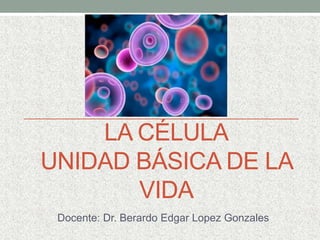 LA CÉLULA
UNIDAD BÁSICA DE LA
VIDA
Docente: Dr. Berardo Edgar Lopez Gonzales
 