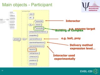 Main objects - Participant


                                     Interactor

                                        e.g. enzyme target
                              Building of Complex

                                  e.g. bait, prey

                                        Delivery method
                                        expression level…

                             Interactor used
                              experimentally



33
 