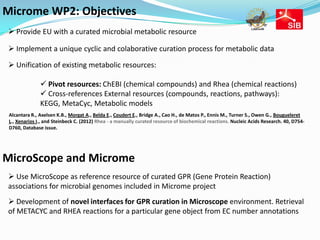 Microme WP2: Objectives
 Provide EU with a curated microbial metabolic resource

 Implement a unique cyclic and colaborative curation process for metabolic data

 Unification of existing metabolic resources:

                Pivot resources: ChEBI (chemical compounds) and Rhea (chemical reactions)
                Cross-references External resources (compounds, reactions, pathways):
               KEGG, MetaCyc, Metabolic models
 Alcantara R., Axelsen K.B., Morgat A., Belda E., Coudert E., Bridge A., Cao H., de Matos P., Ennis M., Turner S., Owen G., Bougueleret
 L., Xenarios I., and Steinbeck C. (2012) Rhea - a manually curated resource of biochemical reactions. Nucleic Acids Research. 40, D754-
 D760, Database issue.




MicroScope and Microme
 Use MicroScope as reference resource of curated GPR (Gene Protein Reaction)
associations for microbial genomes included in Microme project
 Development of novel interfaces for GPR curation in Microscope environment. Retrieval
of METACYC and RHEA reactions for a particular gene object from EC number annotations
 