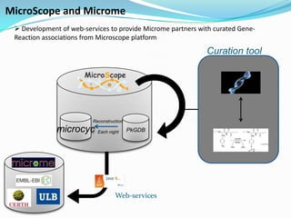 MicroScope and Microme
  Development of web-services to provide Microme partners with curated Gene-
 Reaction associations from Microscope platform
                                                             Curation tool




                         Reconstruction

              microcyc     Each night     PkGDB




                                   Web-services
 