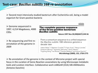 Test-case: Bacillus subtilis 168 re-annotation

   Second most intensively studied bacterium after Escherichia coli, being a model
  organism for Gram-positive bacteria


   Genome sequenced in
  1997. 4,214 Megabases, 4000
  CDSs
                                                     Nature 1997 Nov 20;390(6657):249-56


   Re-sequencing and first re-
  annotation of the genome in
  2009

                                                      Microbiology (2009), 155, 1758-1775


   Re-annotation of the genome in the context of Microme project with special
  focus in the curation of Gene-Reaction associations by using Microscope metabolic
  tools and curation interface. Collaborative work LABGeM (CEA)-SIB-AMAbiotics
  (Antoine Danchin)
 