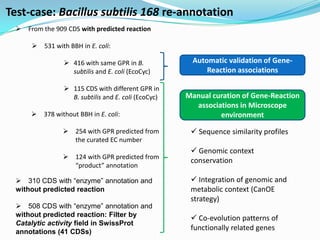 Test-case: Bacillus subtilis 168 re-annotation
   From the 909 CDS with predicted reaction

       531 with BBH in E. coli:

                 416 with same GPR in B.              Automatic validation of Gene-
                  subtilis and E. coli (EcoCyc)            Reaction associations

                 115 CDS with different GPR in
                  B. subtilis and E. coli (EcoCyc)   Manual curation of Gene-Reaction
                                                       associations in Microscope
       378 without BBH in E. coli:                           environment

                 254 with GPR predicted from          Sequence similarity profiles
                  the curated EC number
                                                       Genomic context
                 124 with GPR predicted from
                                                      conservation
                  “product” annotation

   310 CDS with “enzyme” annotation and               Integration of genomic and
  without predicted reaction                          metabolic context (CanOE
                                                      strategy)
   508 CDS with “enzyme” annotation and
  without predicted reaction: Filter by
                                                       Co-evolution patterns of
  Catalytic activity field in SwissProt
  annotations (41 CDSs)
                                                      functionally related genes
 