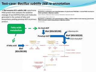 Test-case: Bacillus subtilis 168 re-annotation
 BioI enzyme of B. subtilis 168: cytochrome
P450 protein that catalyzes the oxidative
cleavage of acyl-ACP/free fatty acid molecules
generated in the context of fatty acid
biosynthesis yielding pimeloyl-ACP as primary
product.


           Fatty acids                           An Acyl-ACP
           metabolism                                   BioI (BSU30190)   L-Alanine+H+

                                                 Pimeloyl-ACP             BioF (BSU30220)
                                                                             CO2+HoloACP


      A fatty acid
                    BioI
                 (BSU30190)
 