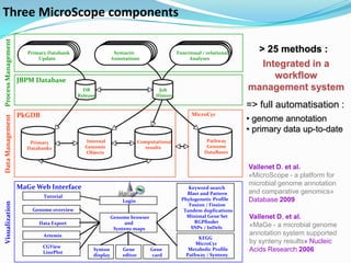 Three MicroScope components
Process Management




                        Primary Databank                    Syntactic                    Functional / relational    > 25 methods :
                            Update                         Annotations                        Analyses
                                                                                                                     Integrated in a
                     JBPM Database
                                                                                                                        workflow
                                             DB                                 Job                                management system
                                           Release                             History

                                                                                                                   => full automatisation :
                     PkGDB                                                                     MicroCyc
                                                                                                                   • genome annotation
Data Management




                                                                                                                   • primary data up-to-date
                        Primary              Internal                   Computational                 Pathway
                       Databanks             Genomic                      results                     Genome
                                             Objects                                                 DataBases


                                                                                                                   Vallenet D. et al.
                                                                                                                   «MicroScope - a platform for
                                                                                                                   microbial genome annotation
                     MaGe Web Interface                                                       Keyword search
                                                                                             Blast and Pattern     and comparative genomics»
                              Tutorial
                                                               Login                       Phylogenetic Profile    Database 2009
Visualization




                                                                                              Fusion / Fission
                         Genome overview                                                    Tandem duplications
                                                           Genome browser                    Minimal Gene Set      Vallenet D, et al.
                            Data Export                         and                             RGPfinder
                                                            Synteny maps                       SNPs / InDels       «MaGe - a microbial genome
                              Artemis                                                                              annotation system supported
                                                                                                  KEGG
                                                                                                 MicroCyc          by synteny results» Nucleic
                             CGView
                             LinePlot
                                                 Synton        Gene         Gene              Metabolic Profile    Acids Research 2006
                                                 display       editor        card            Pathway / Synteny
 