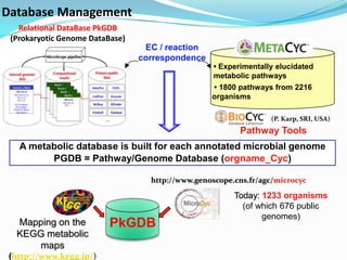 Database Management
   Relational DataBase PkGDB
 (Prokaryotic Genome DataBase)
                                  EC / reaction
                                 correspondence
                                                  • Experimentally elucidated
                                                  metabolic pathways
                                                  • 1800 pathways from 2216
                                                  organisms

                                                                 (P. Karp, SRI, USA)
                                                         Pathway Tools
   A metabolic database is built for each annotated microbial genome
         PGDB = Pathway/Genome Database (orgname_Cyc)

                                   http://www.genoscope.cns.fr/agc/microcyc

                                                        Today: 1233 organisms
                                                          (of which 676 public
                                                               genomes)
  Mapping on the          PkGDB
  KEGG metabolic
     maps
 (http://www.kegg.jp/)
 