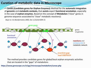 Curation of metabolic data in Microscope
    CanOE (Candidate genes for Orphan Enzymes): Method for the automatic integration
   of genomic and metabolic contexts, that assists expert functional annotation, especially
   in the case of orphan enzymes. Based on the concept of Metabolon (“close” genes in
   genome sequence associated to “close” metabolic reactions):
    Boyer et. Al; Bioinformatics 2005; Dec 1;21(23):4209-15.


                                   gene gaps

                                                                                    genes
                                                                                    on genome

      functional
      annotations
                                                               ?                  reactions and
                                                                                  compounds in
                                                                                  metabolic network



                                                                   reaction gap
                                                                   And ORPHAN

      The method provides candidate genes for global/local orphan enzymatic activities
      that are located in the “gaps” of metabolons
https://www.genoscope.cns.fr/agc/microscope/metabolism/canoe.php
 