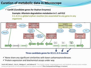 Curation of metabolic data in Microscope
      CanOE (Candidate genes for Orphan Enzymes)
                 Example: Allantoin degradation metabolon in E. coli K12
                 2.1.3.5 is a global orphan reaction (no associated to any gene in any
                 organism)




                                       Three candidate genes for EC:2.1.3.5 reaction
  None share any significant similarities with kown carbamoytransferases
  Protein expression and biochemical assays under way
Smith AAT, Belda E., Viari A., Médigue C., and Vallenet D. “The CanOE strategy: integrating genomic and metabolic contexts across multiple
prokaryote genomes to find candidate genes for orphan enzymes” (Plos Computational Biology, In revision)
 