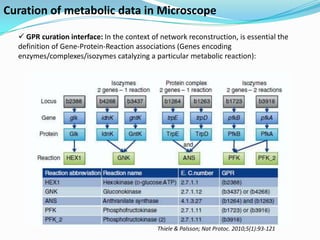 Curation of metabolic data in Microscope

   GPR curation interface: In the context of network reconstruction, is essential the
  definition of Gene-Protein-Reaction associations (Genes encoding
  enzymes/complexes/isozymes catalyzing a particular metabolic reaction):




                                             Thiele & Palsson; Nat Protoc. 2010;5(1):93-121
 