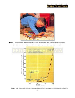Figura 3. El síndrome de Down primario es causado por la presencia de tres copias del cromosoma.

Figura 4. El síndrome de Down primario es causado por la presencia de tres copias del cromosoma.
14

 