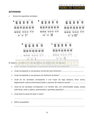 ACTIVIDAD


Revise los siguientes cariotipos:
B

A

C

D

E

Al respecto, conteste en la línea de puntos, solo la letra que corresponda:
¿Cuál cariotipo corresponde a una persona normal del sexo masculino?...........................
¿Cuál corresponde a una persona normal del sexo femenino? .......................................
¿Cuál corresponde a una persona con Síndrome de Down? .............................................
¿Cuál de los cariotipos corresponde a una mujer de baja estatura, tórax ancho,
degeneración ovárica embrionaria tardía y ausencia de madurez sexual? ..........................
¿Cuál de los cariotipos corresponde a un hombre alto, con extremidades largas, escaso
vello facial, axilar y púbico, ginecomastia y genitales pequeños? .....................................
¿Cuál sería la causa de estos 3 casos?
…………………………………………………………………………………………………………………………………………………
Defina aneuploidía:
…………………………………………………………………………………………………………………………………………………..

16

 