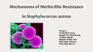Mechanisms of Methicillin Resistance
in Staphylococcus aureus
Group 4:
Võ Đỗ Minh Trang
Nguyễn Thị Hồng Nhung
Lý Minh Nguyệt
Nguyễn Lê Bảo Trân
Đoàn Ngọc Thảo Vy
Phan Ngọc Mai Vy
 