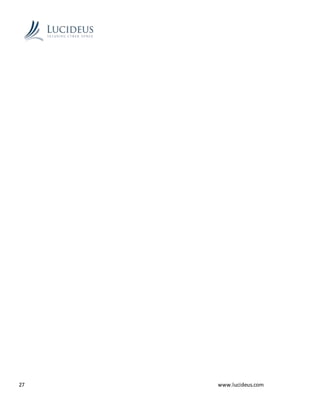 27 www.lucideus.com
 