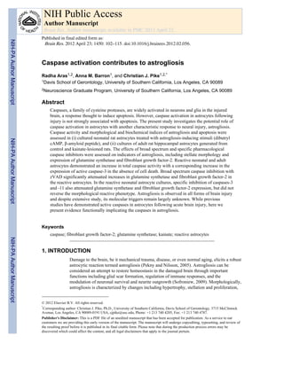 Caspase activation contributes to astrogliosis
Radha Aras1,2, Anna M. Barron1, and Christian J. Pike1,2,*
1Davis School of Gerontology, University of Southern California, Los Angeles, CA 90089
2Neuroscience Graduate Program, University of Southern California, Los Angeles, CA 90089
Abstract
Caspases, a family of cysteine proteases, are widely activated in neurons and glia in the injured
brain, a response thought to induce apoptosis. However, caspase activation in astrocytes following
injury is not strongly associated with apoptosis. The present study investigates the potential role of
caspase activation in astrocytes with another characteristic response to neural injury, astrogliosis.
Caspase activity and morphological and biochemical indices of astrogliosis and apoptosis were
assessed in (i) cultured neonatal rat astrocytes treated with astrogliosis-inducing stimuli (dibutryl
cAMP, β-amyloid peptide), and (ii) cultures of adult rat hippocampal astrocytes generated from
control and kainate-lesioned rats. The effects of broad spectrum and specific pharmacological
caspase inhibitors were assessed on indicators of astrogliosis, including stellate morphology and
expression of glutamine synthetase and fibroblast growth factor-2. Reactive neonatal and adult
astrocytes demonstrated an increase in total caspase activity with a corresponding increase in the
expression of active caspase-3 in the absence of cell death. Broad spectrum caspase inhibition with
zVAD significantly attenuated increases in glutamine synthetase and fibroblast growth factor-2 in
the reactive astrocytes. In the reactive neonatal astrocyte cultures, specific inhibition of caspases-3
and -11 also attenuated glutamine synthetase and fibroblast growth factor-2 expression, but did not
reverse the morphological reactive phenotype. Astrogliosis is observed in all forms of brain injury
and despite extensive study, its molecular triggers remain largely unknown. While previous
studies have demonstrated active caspases in astrocytes following acute brain injury, here we
present evidence functionally implicating the caspases in astrogliosis.
Keywords
caspase; fibroblast growth factor-2; glutamine synthetase; kainate; reactive astrocytes
1. INTRODUCTION
Damage to the brain, be it mechanical trauma, disease, or even normal aging, elicits a robust
astrocytic reaction termed astrogliosis (Pekny and Nilsson, 2005). Astrogliosis can be
considered an attempt to restore homeostasis in the damaged brain through important
functions including glial scar formation, regulation of immune responses, and the
modulation of neuronal survival and neurite outgrowth (Sofroniew, 2009). Morphologically,
astrogliosis is characterized by changes including hypertrophy, stellation and proliferation,
© 2012 Elsevier B.V. All rights reserved.
*
Corresponding author: Christian J. Pike, Ph.D., University of Southern California, Davis School of Gerontology, 3715 McClintock
Avenue, Los Angeles, CA 90089-0191 USA, cjpike@usc.edu, Phone: +1 213 740 4205, Fax: +1 213 740 4787.
Publisher's Disclaimer: This is a PDF file of an unedited manuscript that has been accepted for publication. As a service to our
customers we are providing this early version of the manuscript. The manuscript will undergo copyediting, typesetting, and review of
the resulting proof before it is published in its final citable form. Please note that during the production process errors may be
discovered which could affect the content, and all legal disclaimers that apply to the journal pertain.
NIH Public Access
Author Manuscript
Brain Res. Author manuscript; available in PMC 2013 April 23.
Published in final edited form as:
Brain Res. 2012 April 23; 1450: 102–115. doi:10.1016/j.brainres.2012.02.056.
NIH-PAAuthorManuscriptNIH-PAAuthorManuscriptNIH-PAAuthorManuscript
 