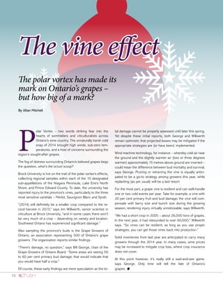 10
The polar vortex has made its
mark on Ontario’s grapes –
but how big of a mark?
By Jillian Mitchell
The vine effect
P
olar Vortex – two words striking fear into the
hearts of sommeliers and viticulturalists across
Ontario’s wine country. The unnaturally harsh cold
snap of 2014 brought high winds, sub-zero tem-
peratures, and a host of concerns surrounding the
region’s sought-after grapes.
The fog of distress surrounding Ontario’s beloved grapes begs
the question, what’s the actual scoop?
Brock University is hot on the trail of the polar vortex’s effects,
collecting regional samples within each of the 10 designated
sub-appellations of the Niagara Peninsula, Lake Erie’s North
Shore, and Prince Edward County. To date, the university has
reported injury to the province’s vines, particularly to the three
most sensitive varietals – Merlot, Sauvignon Blanc and Syrah.
“[2014] will definitely be a smaller crop compared to the re-
cord harvest in 2013,” says Jim Willwerth, senior scientist in
viticulture at Brock University, “and in some cases there won’t
be very much of a crop – depending on variety and location.
Southwest Ontario has experienced significant damage.”
Also sampling the province’s buds is the Grape Growers of
Ontario, an association representing 500 of Ontario’s grape
growers. The organization reports similar findings.
“There’s damage, no question,” says Bill George, chair of the
Grape Growers of Ontario Board. “Some areas are seeing 50
to 60 per cent primary bud damage; that would indicate that
you would have half a crop.”
Of course, these early findings are mere speculation as the to-
tal damage cannot be properly assessed until later this spring.
Yet despite these initial reports, both George and Willwerth
remain optimistic that projected losses may be mitigated if the
appropriate strategies are (or have been) implemented.
Wind machine technology, for instance – whereby cold air near
the ground and the slightly warmer air (two or three degrees
warmer) approximately 15 metres above ground are inverted –
could mean the difference between bud mortality and survival,
says George. Pruning or retraining the vine is equally antici-
pated to be a go-to strategy among growers this year, while
replanting (as per usual) will be a last resort.
For the most part, a grape vine is resilient and can well-handle
one or two cold events per year. Take for example, a vine with
20 per cent primary fruit and bud damage; the vine will com-
pensate with berry size and bunch size during the growing
season, rendering injury virtually unnoticeable, says Willwerth.
“We had a short crop in 2005 – about 26,000 tons of grapes.
In the next year, it had rebounded to over 60,000,” Willwerth
says. “So vines can be resilient, as long as you use proper
strategies, you can get those vines back into production.”
Solid inventories from last year are anticipated to carry many
growers through the 2014 year. In many cases, wine prices
may be increased to mitigate crop loss, where crop insurance
does not cover.
At this point however, it’s really still a wait-and-see game,
says George. Only time will tell the fate of Ontario’s
grapes. o
 