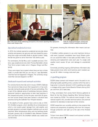 31
Specialized analytical services
In 2010, the institute opened an analytical services lab where
wineries and growers can get juice and wine tested for every-
thing from sugar and acidity levels to alcohol content. Today,
the lab has grown to serve more than 100 clients a year.
For winemakers, the lab fills a void in available services in On-
tario, says analytical services client Thomas Bachelder, whose
Trois Terroir project makes wine in Niagara, Oregon and Bur-
gundy.
“Every wine region has a system where there are two or three
public or private labs that you can rely on,” says Bachelder,
“and that had not happened in Niagara. The university recog-
nized that void and stepped in to fill it.”
Dedicated research and outreach activities
For wineries that do their lab work in-house, CCOVI’s Calibrate
Your Lab service helps ensure their equipment is in top work-
ing order during the peak periods of harvest and bottling. This
is part of the calibrate series of workshops that give industry
personnel hands-on opportunities to learn best practices in
the vineyard and winery. So far this year, more than 65 grow-
ers from across Ontario have been trained in viticulture best
practices during the Calibrate Your Vineyard sessions.
In the depths of winter, growers have come to rely on CCO-
VI’s VineAlert program, which identifies the air temperature at
which a vine would sustain damage from cold weather, and
prompts growers to activate mitigation methods such as wind
machines. When temperatures drop, and vine hardiness levels
fluctuate, growers rely on VineAlert’s data. Between October
2013 and April 2014, the VineAlert website was visited over
16,700 times.
For growers, knowing this information often means cost sav-
ings.
If VineAlert notifies growers to use wind machines during a
cold event, business consultants have found Ontario grow-
ers can avoid $10 million in lost sales and $32 million in vine
retraining and replacement costs each year if a single cold
weather event causes 30 per cent damage to unprotected
vines.
Conversely, providing ongoing cold-hardiness information also
helps growers know when wind machines aren’t needed, sav-
ing over $1 million in energy costs each year.
A sparkling program
CCOVI’s latest outreach and research work is focused on cre-
ating high-quality sparkling wines, a product which has seen a
huge jump in consumer demand. In 2013, sparkling wine sales
in vintages at the Liquor Control Board of Ontario shot up 59.2
per cent from 2012 sales data.
In May, winemakers from across North America gathered at
Brock for the first Ontario Sparkling Wine Technical Sympo-
sium hosted by CCOVI. The sold-out event brought in inter-
national experts who provided technical advice and practical
solutions for attendees to take back to their wineries.
CCOVI researchers are currently working on two projects that
examine all components of sparkling wine from the vineyard,
through production and right up to the sale of the finished
product.
To learn more about CCOVI’s research and outreach activities
visit: brocku.ca/ccovi. o
Wine writer Jamie Goode addressing participants at the Ontario Sparkling Wine Symposium.
Photo credit: Kaitlyn Little.
Sufen Xu, CCOVI technologist, running wine
samples in CCOVI’s analytical services lab.
 