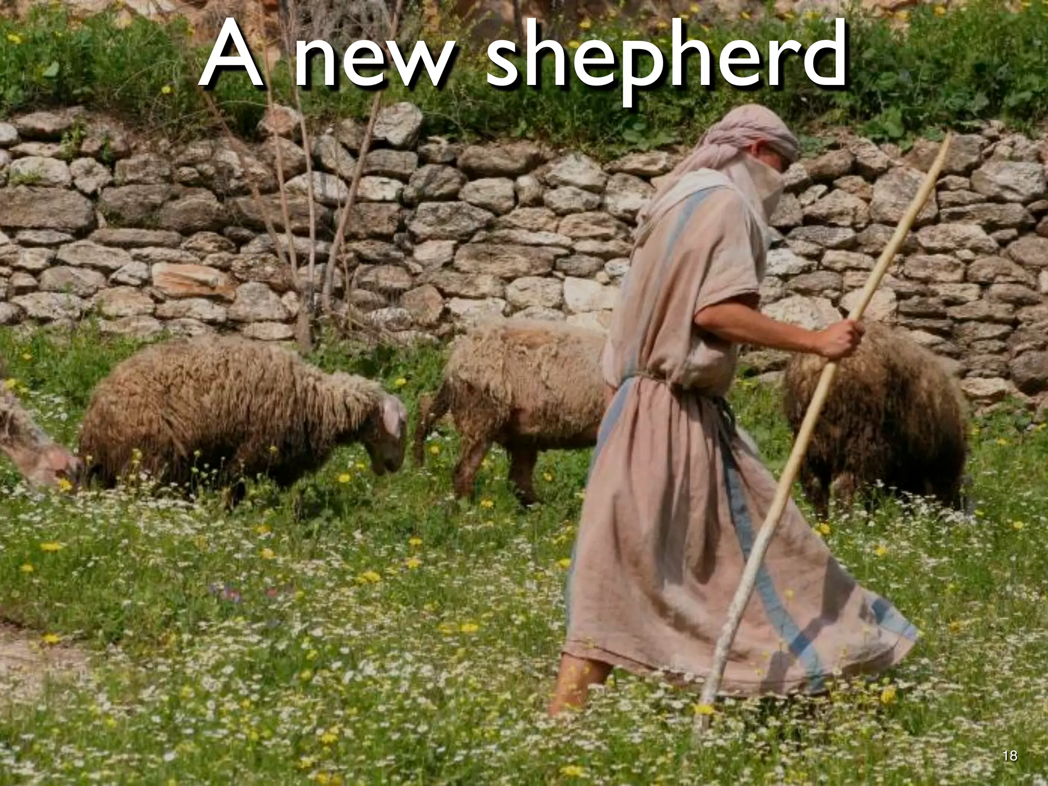 A new shepherd




                 18
 
