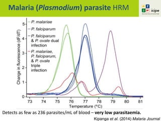 C°
Malaria (Plasmodium) parasite HRM
Detects as few as 236 parasites/mL of blood – very low parasitaemia.
Kipanga et al. (2014) Malaria Journal
 