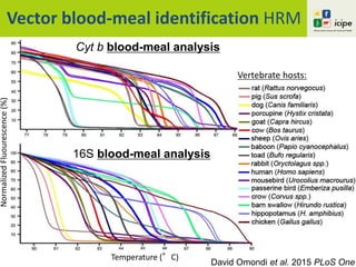 C°
Vector blood-meal identification HRM
Vertebrate hosts:
David Omondi et al. 2015 PLoS One
Cyt b blood-meal analysis
16S blood-meal analysis
Temperature (°C)
NormalizedFluourescence(%)
 