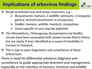 Implications of arbovirus findings
 Broad vertebrate host and vector reservoirs, e.g.:
 Bunyamwera: humans, 2 wildlife ruminants, 4 mosquito
genera, vertical transmission in mosquitoes
 Sindbis: humans, wildlife, livestock, mosquitoes
 Insect-specific viruses may be exploited
 The Wesselsbron, Chikungunya, Bunyamwera and Sindbis
viruses have been associated with severe human febrile illness,
but are rarely, if ever, identified as a cause of morbidity in
humans or livestock.
 This is due to poor diagnostics and surveillance of these
arboviruses.
There is need for differential arbovirus diagnosis and
surveillance to guide appropriate teatment and management,
especially at the interface of humans, livestock and wildlife.
 