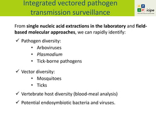 From single nucleic acid extractions in the laboratory and field-
based molecular approaches, we can rapidly identify:
 Pathogen diversity:
• Arboviruses
• Plasmodium
• Tick-borne pathogens
 Vector diversity:
• Mosquitoes
• Ticks
 Vertebrate host diversity (blood-meal analysis)
 Potential endosymbiotic bacteria and viruses.
Integrated vectored pathogen
transmission surveillance
 