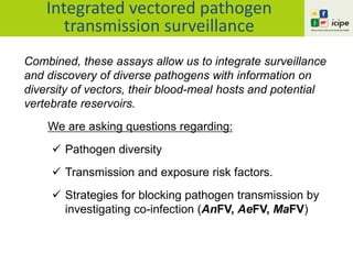 Combined, these assays allow us to integrate surveillance
and discovery of diverse pathogens with information on
diversity of vectors, their blood-meal hosts and potential
vertebrate reservoirs.
We are asking questions regarding:
 Pathogen diversity
 Transmission and exposure risk factors.
 Strategies for blocking pathogen transmission by
investigating co-infection (AnFV, AeFV, MaFV)
Integrated vectored pathogen
transmission surveillance
 