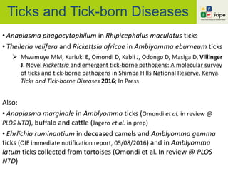 Ticks and Tick-born Diseases
• Anaplasma phagocytophilum in Rhipicephalus maculatus ticks
• Theileria velifera and Rickettsia africae in Amblyomma eburneum ticks
 Mwamuye MM, Kariuki E, Omondi D, Kabii J, Odongo D, Masiga D, Villinger
J. Novel Rickettsia and emergent tick-borne pathogens: A molecular survey
of ticks and tick-borne pathogens in Shimba Hills National Reserve, Kenya.
Ticks and Tick-borne Diseases 2016; In Press
Also:
• Anaplasma marginale in Amblyomma ticks (Omondi et al. in review @
PLOS NTD), buffalo and cattle (Jagero et al. in prep)
• Ehrlichia ruminantium in deceased camels and Amblyomma gemma
ticks (OIE immediate notification report, 05/08/2016) and in Amblyomma
latum ticks collected from tortoises (Omondi et al. In review @ PLOS
NTD)
 