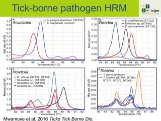 Tick-borne pathogen HRM
Mwamuye et al. 2016 Ticks Tick Borne Dis.
Temperature (ºC)
84 85 86 87 88 89 90 91
Meltrate(dF/dT)
1.0
0.9
0.8
0.7
0.6
0.5
0.4
0.3
0.2
0.1
0.0
A. phagocytophilum (ST103)
A. marginale (control)
Temperature (ºC)
79 80 81 82 83 84 85 86 87 88
Meltrate(dF/dT)
0.35
0.30
0.25
0.20
0.15
0.10
0.05
0.00
E. chaffeensis (ST122)
Ehrlichia sp. (ST189)
E. ruminantium (ST130)
Temperature (ºC)
82 83 84 85 86 87 88 89 90 91 92
Meltrate(dF/dT)
4.0
3.5
3.0
2.5
2.0
1.5
1.0
0.5
0.0
R. africae (ST138, ST139)
Rickettsia sp. (ST198)
Rickettsia sp. (ST119)
Coxiella sp. (ST269)
Temperature (ºC)
80 81 82 83 84 85 86 87 88
Meltrate(dF/dT)
0.08
0.07
0.06
0.05
0.04
0.03
0.02
0.01
0.00
T. parva (control)
T. velifera (ST194, ST260,
ST271, ST272, ST269)
c
a
d
b
Anaplasma Ehrlichia
Rickettsia Theileria
 