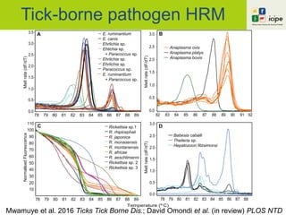 Tick-borne pathogen HRM
Mwamuye et al. 2016 Ticks Tick Borne Dis.; David Omondi et al. (in review) PLOS NTD
Temperature (º C)
82 83 84 85 86 87 88 89 90 91 92
3.0
2.5
2.0
1.5
1.0
0.5
0.0
78 79 80 81 82 83 84 85 86 87 88 89
NormalisedFluorescence
110
100
90
80
70
60
50
40
30
20
10
Babesia caballi
Theileria sp.
Hepatozoon fitzsimonsi
E. ruminantium
E. canis
Ehrlichia sp.
Ehlichia sp.
+ Paracoccus sp.
Ehrlichia sp.
Ehrlichia sp.
Paracoccus sp.
E. ruminantium
+ Paracoccus sp.
Anaplasma ovis
Anaplasma platys
Anaplasma bovis
Rickettsia sp.1
R. rhipicephali
R. japonica
R. monasensis
R. montanensis
R. africae
R. aeschlimanni
Rickettsia sp. 2
Rickettsia sp. 3
78 79 80 81 82 83 84 85 86 87 88
78 79 80 81 82 83 84 85 86 87 88 89
3.0
2.5
2.0
1.5
1.0
0.5
0.0
3.5
3.0
2.5
2.0
1.5
1.0
0.5
0.0
Meltrate(dF/dT)
Meltrate(dF/dT)Meltrate(dF/dT)
A
C
B
D
 