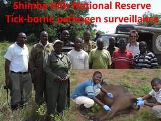 • Shimba photos
Shimba Hills National Reserve
Tick-borne pathogen surveillance
 
