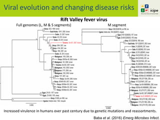 Viral evolution and changing disease risks
Rift Valley fever virus
Full genomes (L, M & S segments) M segment
Baba et al. (2016) Emerg Microbes Infect.
Increased virulence in humans over past century due to genetic mutations and reassortments.
 