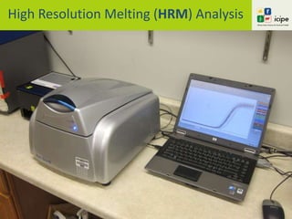 High Resolution Melting (HRM) Analysis
Multiplex of degenerate universal primers
For alpha-, flavi-, nairo-, phlebo-,
orthobunya-, and thogoto-viruses
C°
 