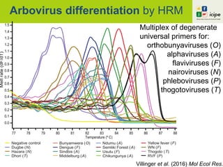 Arbovirus differentiation by HRM
Multiplex of degenerate
universal primers for:
orthobunyaviruses (O)
alphaviruses (A)
flaviviruses (F)
nairoviruses (N)
phleboviruses (P)
thogotoviruses (T)
Villinger et al. (2016) Mol Ecol Res.
20
10
Temperature (º C)
77 78 79 80 81 82 83 84 85 86 87 88
Meltrate(dF/dT)
1.6
1.5
1.4
1.3
1.2
1.1
1.0
0.9
0.8
0.7
0.6
0.5
0.4
0.3
0.1
0.0
0.2
B
Negative control
Dugbe (N)
Hazara (N)
Dhori (T)
Bunyamwera (O)
Dengue (F)
Sindbis (A)
Middelburg (A)
Ndumu (A)
Semliki Forest (A)
Usutu (F)
Chikungunya (A)
Yellow fever (F)
WN (F)
Thogoto (T)
RVF (P)
 