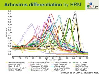 Arbovirus differentiation by HRM
Villinger et al. (2016) Mol Ecol Res.
Nor
20
10
Temperature (ºC)
77 78 79 80 81 82 83 84 85 86 87 88
Meltrate(dF/dT)
1.6
1.5
1.4
1.3
1.2
1.1
1.0
0.9
0.8
0.7
0.6
0.5
0.4
0.1
0.0
Negative control (MH)
Dugbe (N) cDNA
Batai (O) sDNA
Bunyamwera (O) cDNA
Sindbis (A) cDNA
O’nyong-nyong (A) sDNA
Zika (F) sDNA
Wesselsbron (F) sDNA
*Wesselsbron (F) cDNA
Chikungunya (A) sDNA
Chikungunya (A) cDNA
CCHF (N) sDNA
NSD (N) sDNA
Punta Toro (P) sDNA
WN2 (F) sDNA
WN1 (F) sDNA
WN (F) cDNA
RVF1 (P) sDNA
RVF 2 (P) sDNA
RVF (P) cDNA
0.2
0.3
 