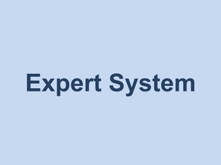 Expert System
 