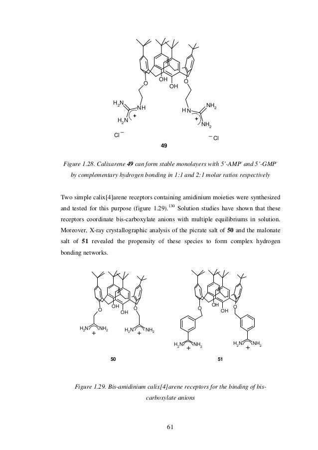 Calixarene dissertation