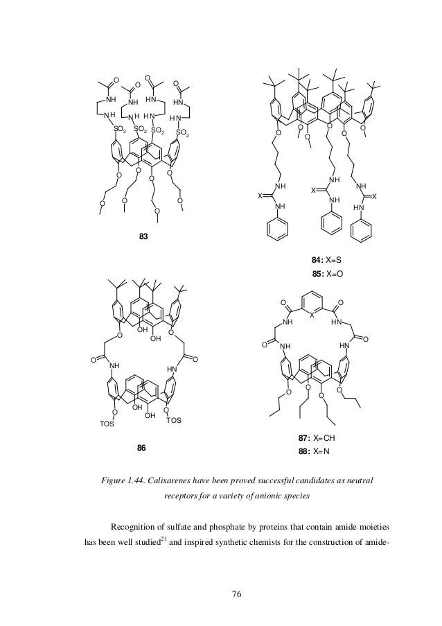 Calixarene dissertation