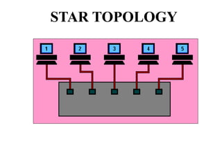 STAR TOPOLOGY
 