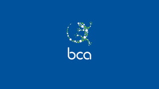BCA marketing 2014