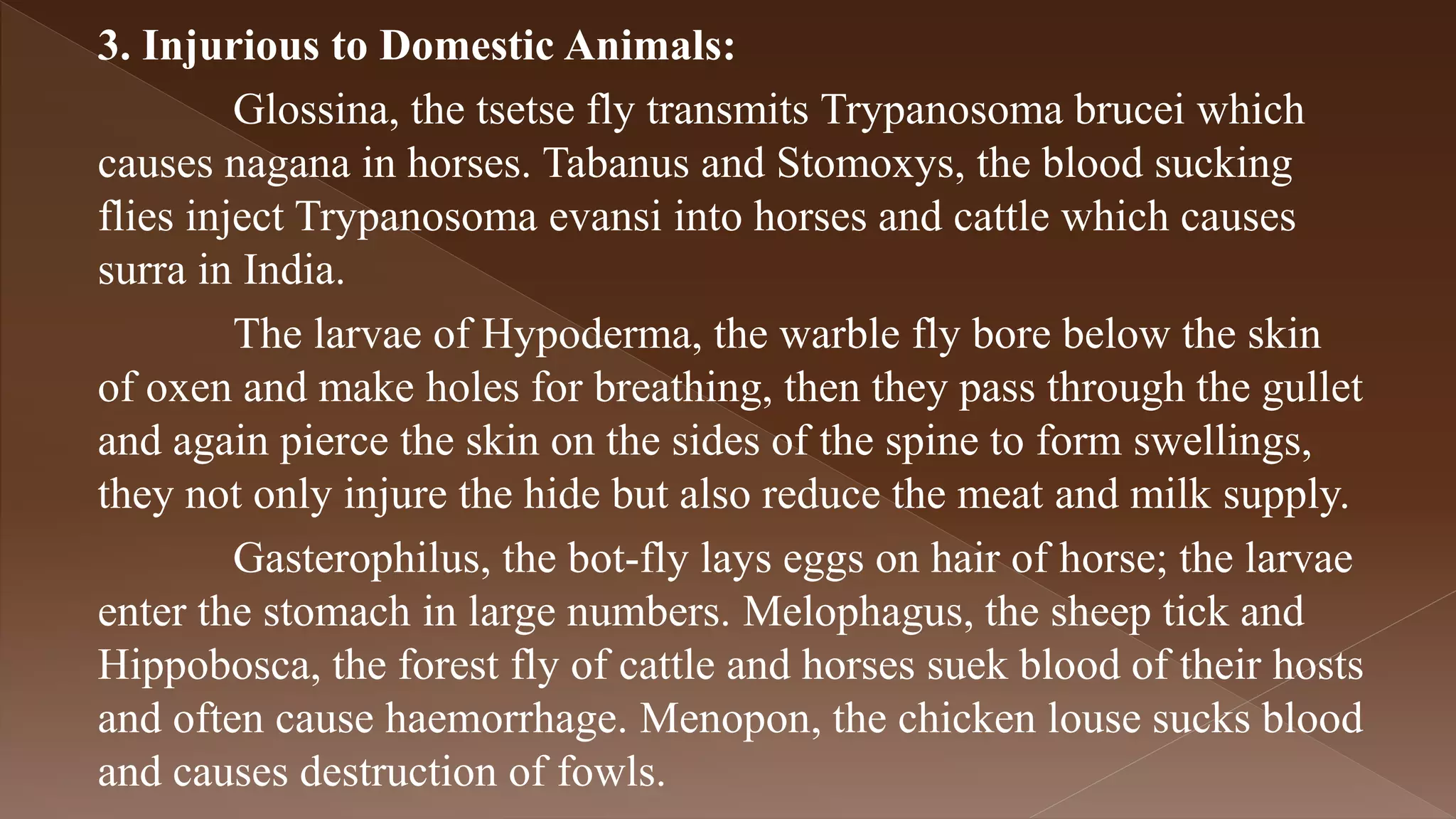 economic importance of insects | PPTX
