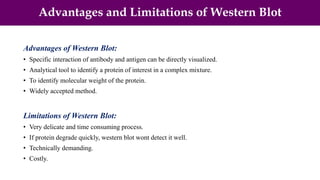 Advantages and Limitations of Western Blot
Advantages of Western Blot:
• Specific interaction of antibody and antigen can be directly visualized.
• Analytical tool to identify a protein of interest in a complex mixture.
• To identify molecular weight of the protein.
• Widely accepted method.
Limitations of Western Blot:
• Very delicate and time consuming process.
• If protein degrade quickly, western blot wont detect it well.
• Technically demanding.
• Costly.
 