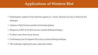 • Immunogenic responses from infectious agents (ex. viruses, bacteria) are easy to detect by this
technique.
• Analysis of IgG fractions purifies from human plasma.
• Diagnosis of HIV by ELISA involves western blotting technique.
• To detect some forms Lyme disease.
• Confirmatory test for hepatitis-B involves western blotting technique.
• This technique employed in gene expression studies.
Applications of Western Blot
 